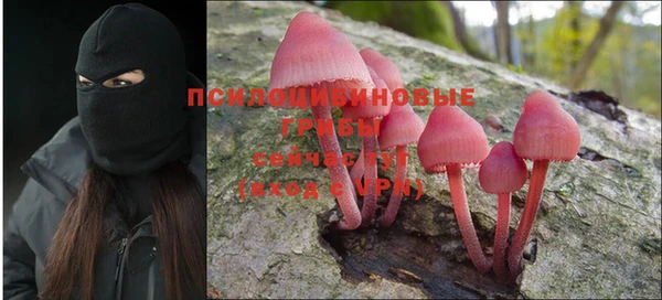 ПСИЛОЦИБИНОВЫЕ ГРИБЫ Баксан