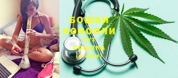 ПСИЛОЦИБИНОВЫЕ ГРИБЫ Баксан